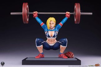 Powerlifting SF6 41 cm