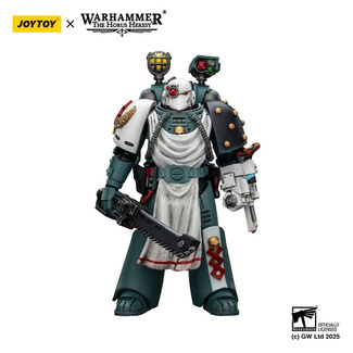 Sons of Horus Action Figure Legion Apothecary 12 cm