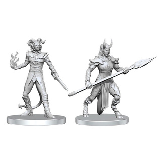 Pathfinder Deep Cuts Unpainted Miniatures Vordine (Infantry Devil) & Pitborn Rogue