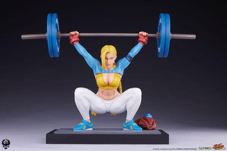 Powerlifting Alpha 41 cm
