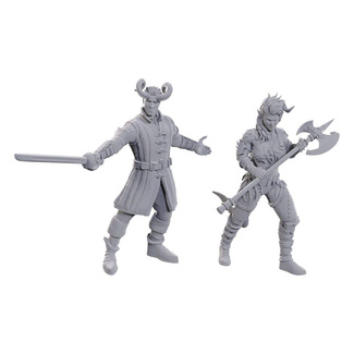 D&D Nolzur's Marvelous Miniatures Unpainted Miniature Wyll & Karlach