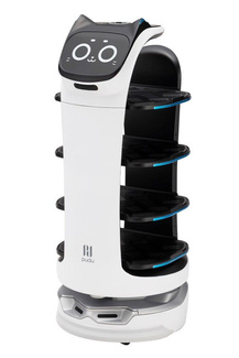 Pudu Robotics Grande ScalePlastic Model Kit BellaBot 19 cm